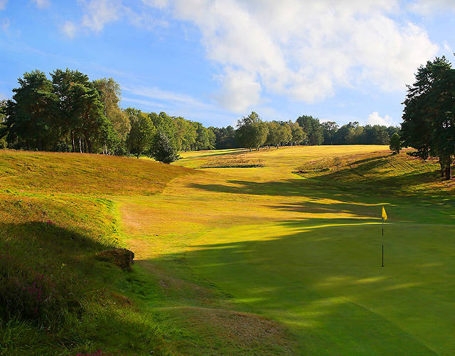 The Royal Ashdown Forest Golf Club